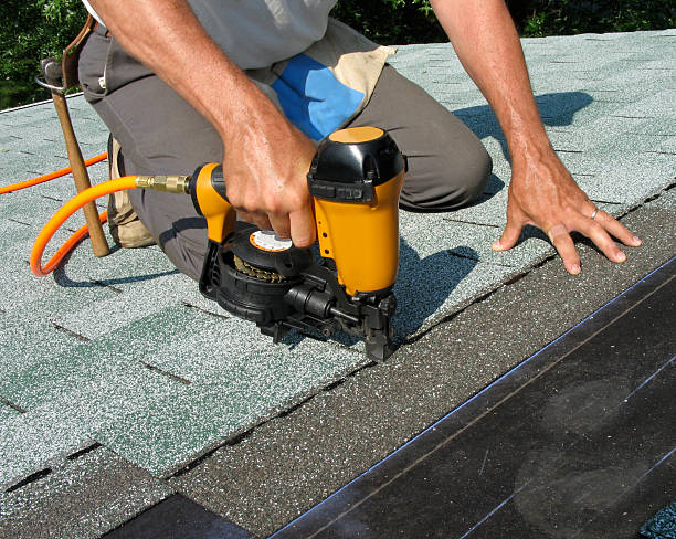 Best Roof Gutter Cleaning  in Norris City, IL