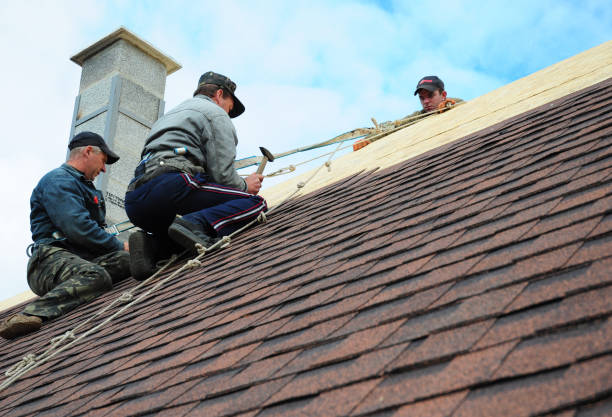 Best Roofing Contractor Near Me  in Norris City, IL